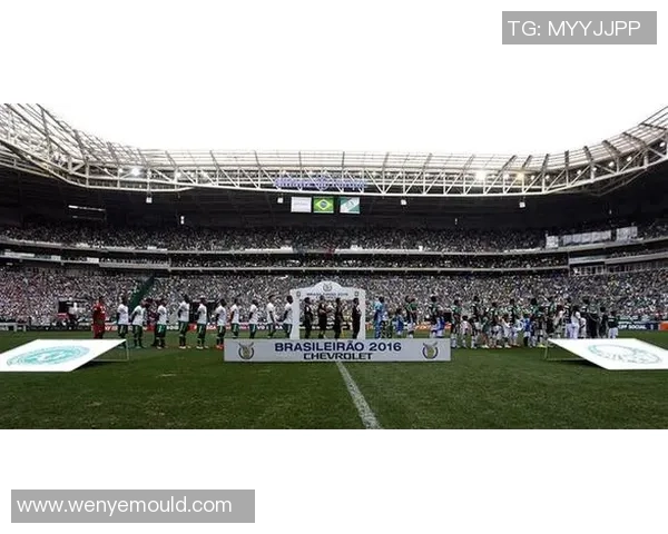 足球明星遭遇飞机失事事件引发全球关注与哀悼