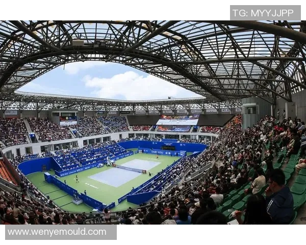 成都网球队的控制革新探索与实践：提升竞技水平的新路径与挑战